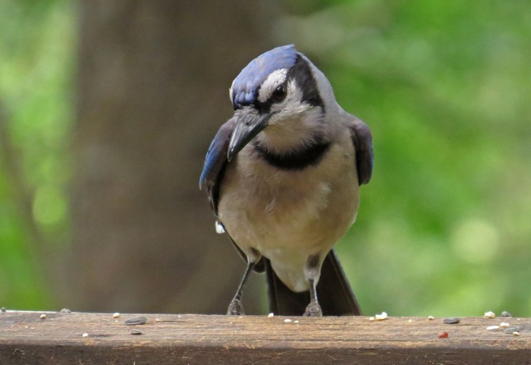 Pausing with a pretty pose.