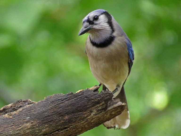 Grabbing a quick bite at the Bark Butter branch.