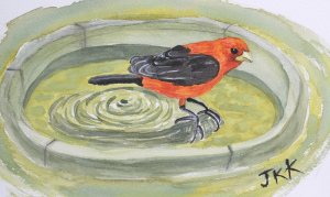 scarlet-tanager-watercolor-completed